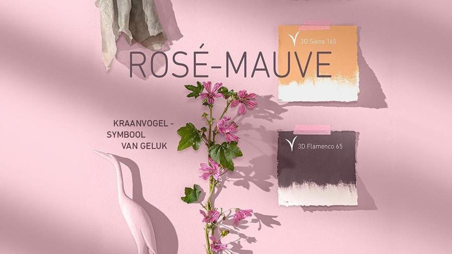 Maak kennis met de trendcollectie 2022 van Caparol!