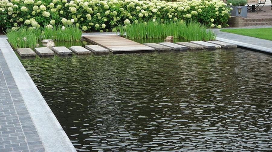 HOE HEB JIJ JOUW (ZWEM)VIJVER ZELF GEPLAATST?