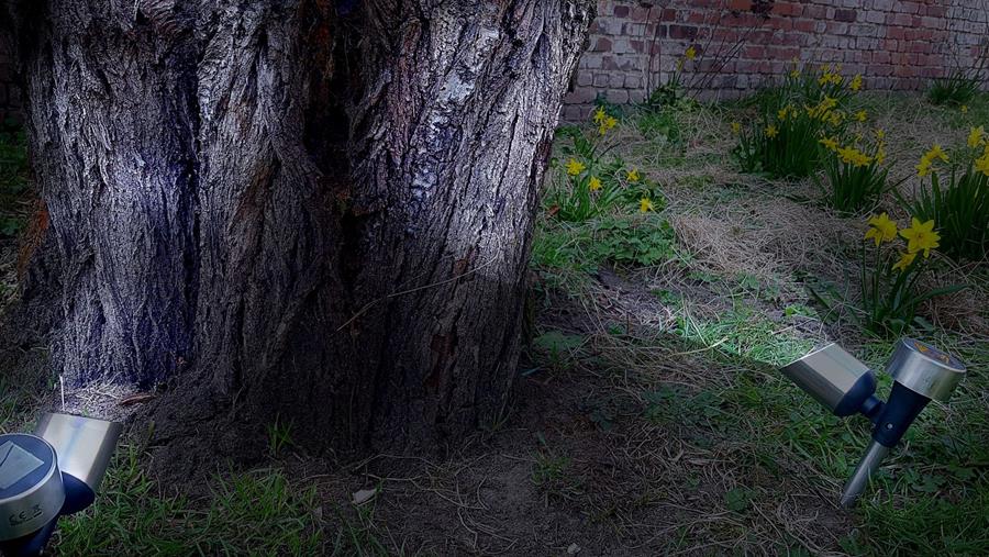 Solar buitenverlichting in de tuin