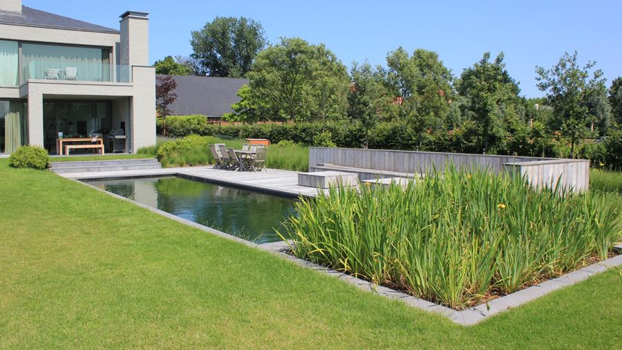 HOE EEN (ZWEM)VIJVER ONDERHOUDEN?