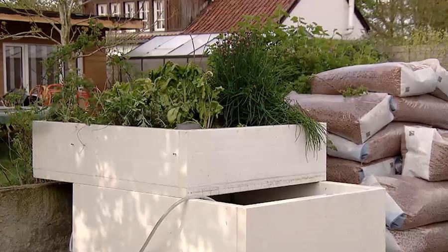 Aquaponics: wat en hoe?