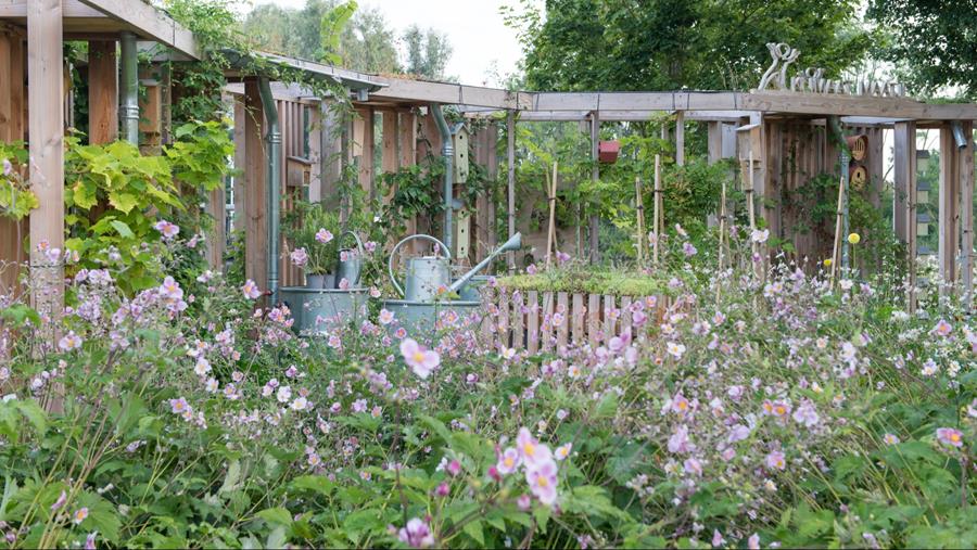 Tuintrends 2023: de natuur neemt de overhand