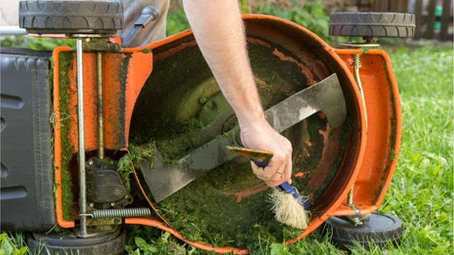 5 tâches de jardinage à ne pas oublier ce printemps