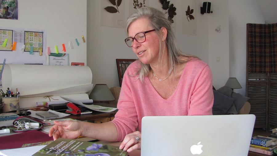 Un jardin imaginé selon l'équilibre biologique