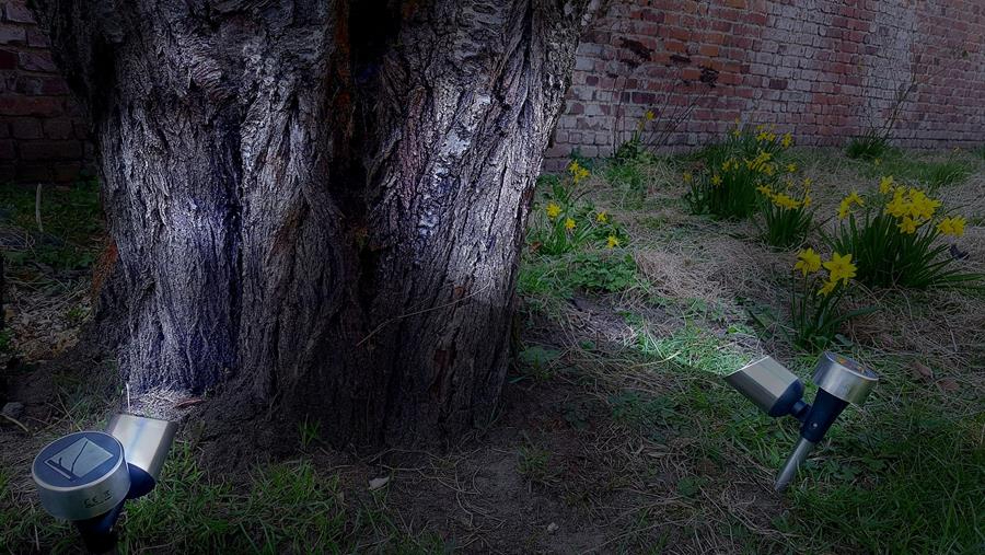 Les lampes solaires dans le jardin