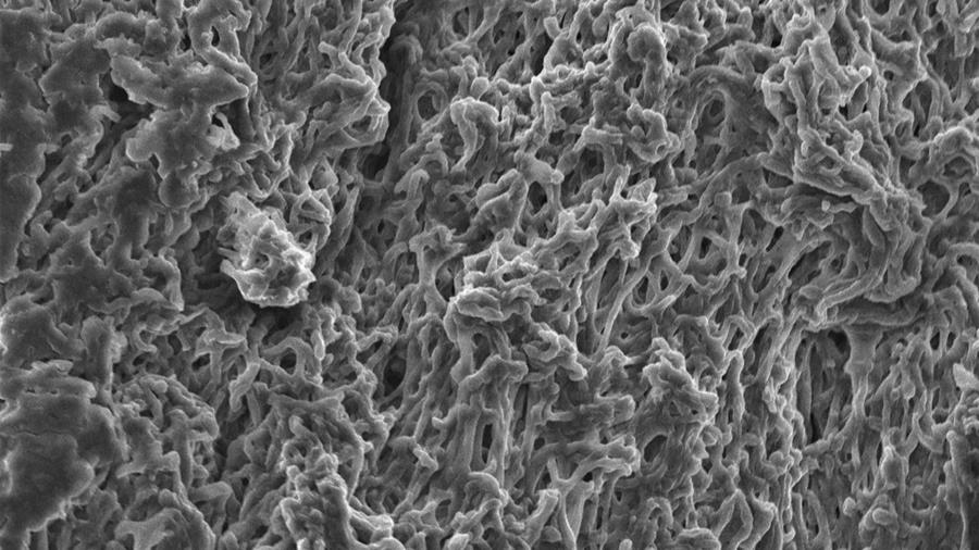 VUB-onderzoek naar zelfhelende bouwmaterialen