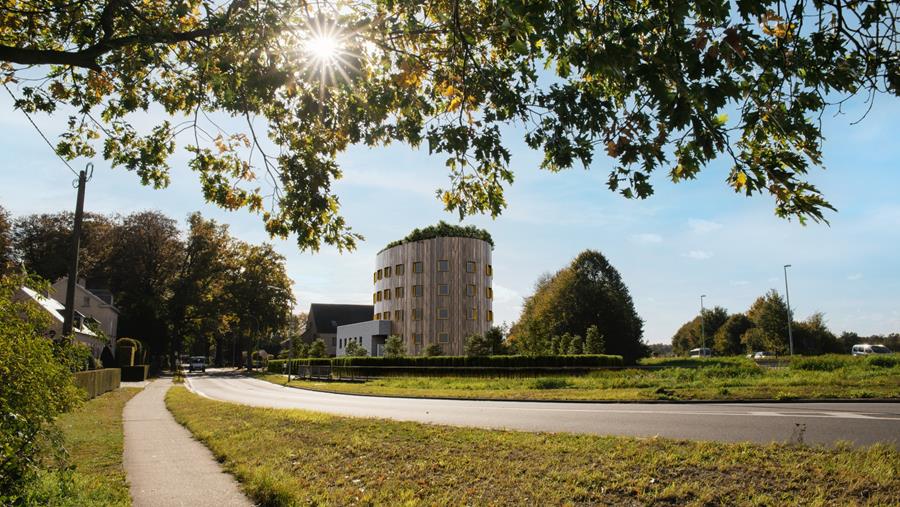 Il Cielo: een boom tussen bomen