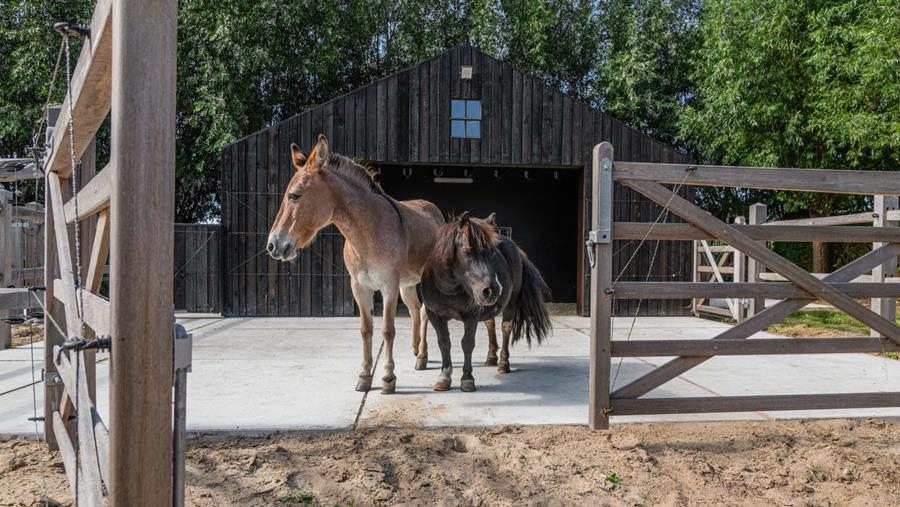 La beauté du bois tout en précision