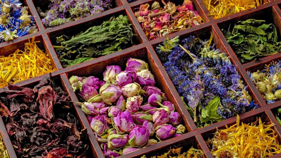 Thé et infusion: quelle est la différence?