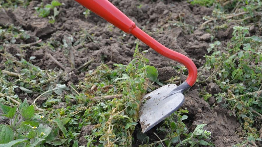 Het groene dilemma: glyfosaat versus milieubewuste alternatieven