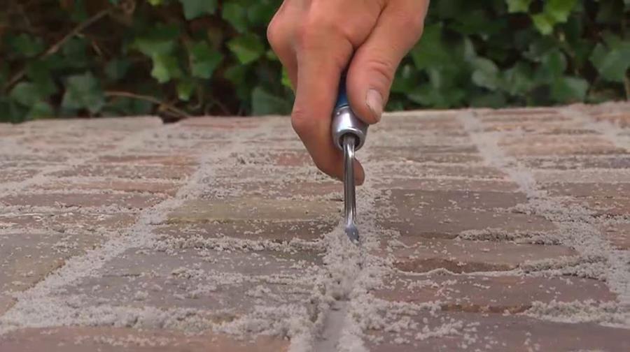 JOINTOYER UNE TERRASSE OU UNE ALLEE