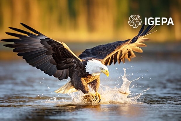 Journées de démonstration d'Igepa les 12 et 13 mars 2024