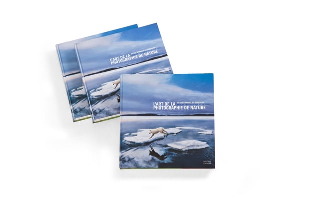 Condat Silk, en stock chez Igepa a partir du 1er juin