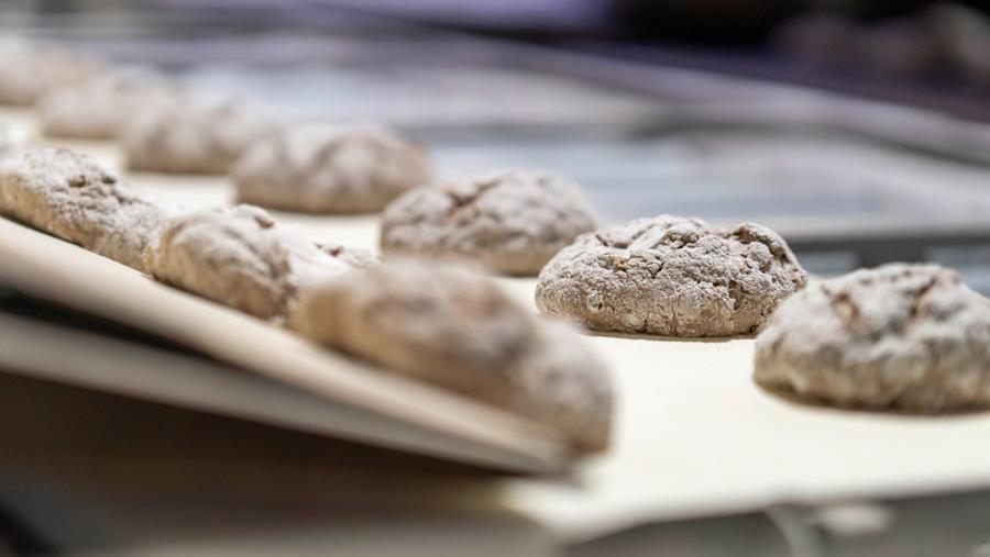 Groene innovatie in de bakkerijsector
