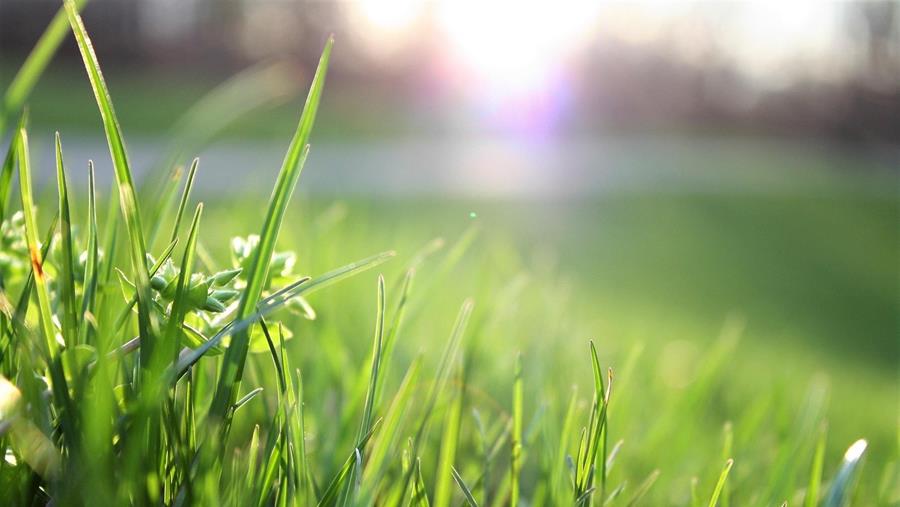 Een goed afgewerkt gazon is het perfecte visitekaartje