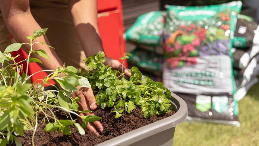 Agaris mise sur des terreaux sans tourbe de haute qualité et des emballages durables