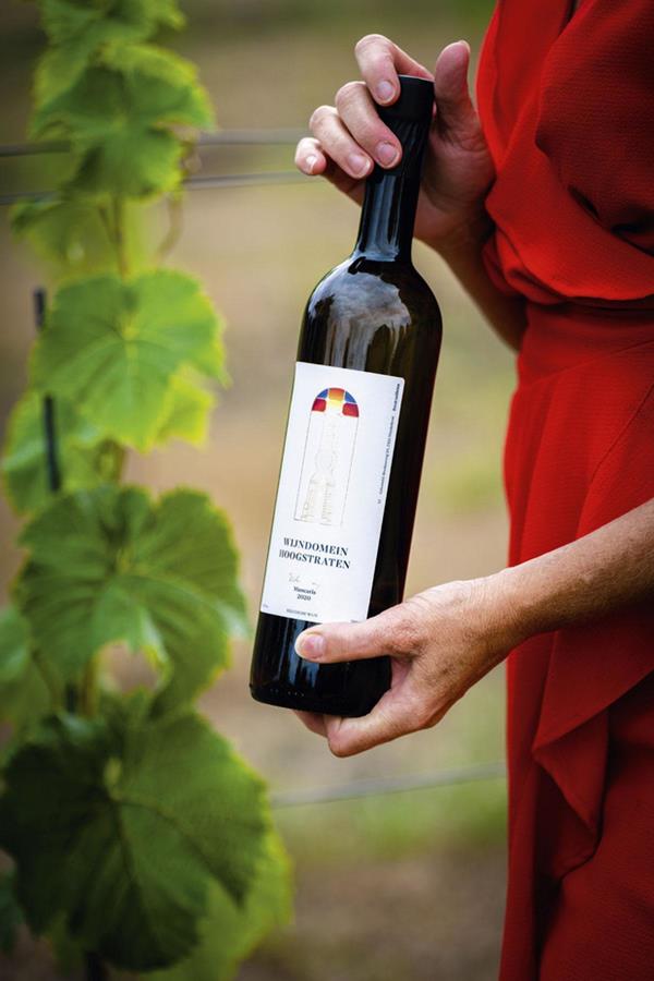 Kwaliteitswijnen uit Hoogstraten 