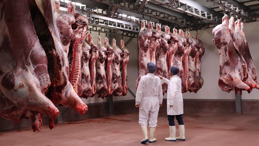 Stratégie de nettoyage optimale pour les abattoirs