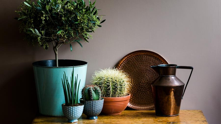 Wanneer is natuurverf een slimme keuze?