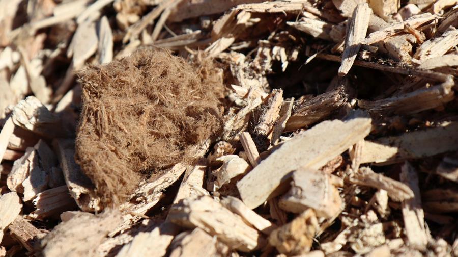 De la tourbe aux matières premières alternatives chez Agaris