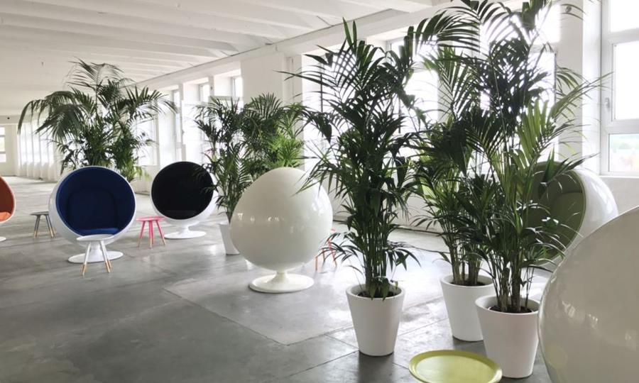 Plantenverhuur Van de Velde