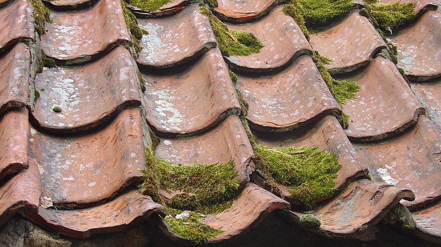 Les produits de réparation ont le vent en poupe