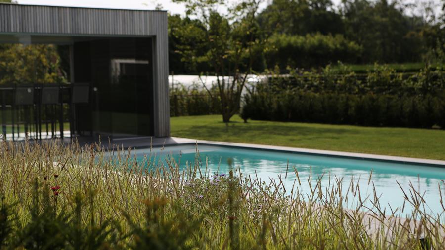 Le secteur des piscines s'attend à une nouvelle explosion des commandes