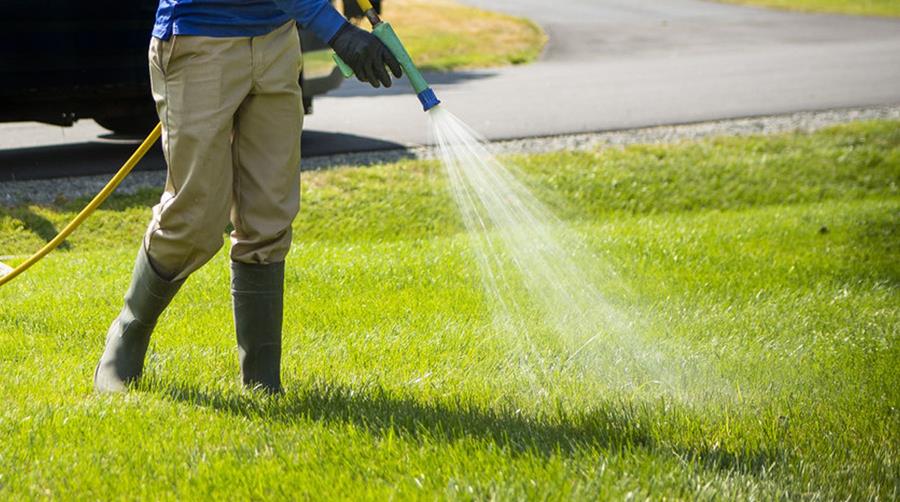 Les phytolicences sont prolongées d’un an