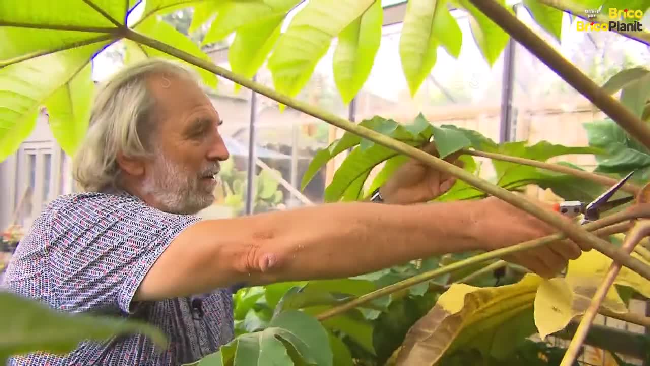 CONSEIL DE LA SEMAINE: DIY BAIN D'OISEAU