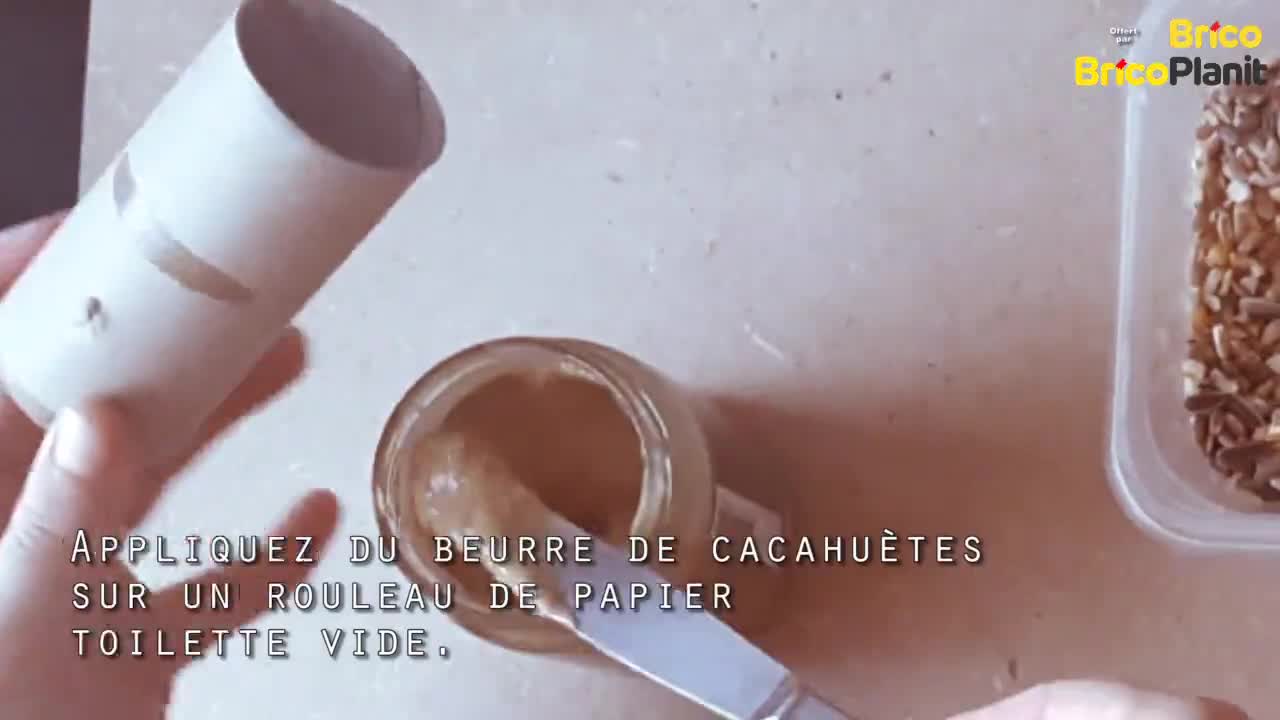 CONSEIL DE LA SEMAINE: AIDEZ LES OISEAUX