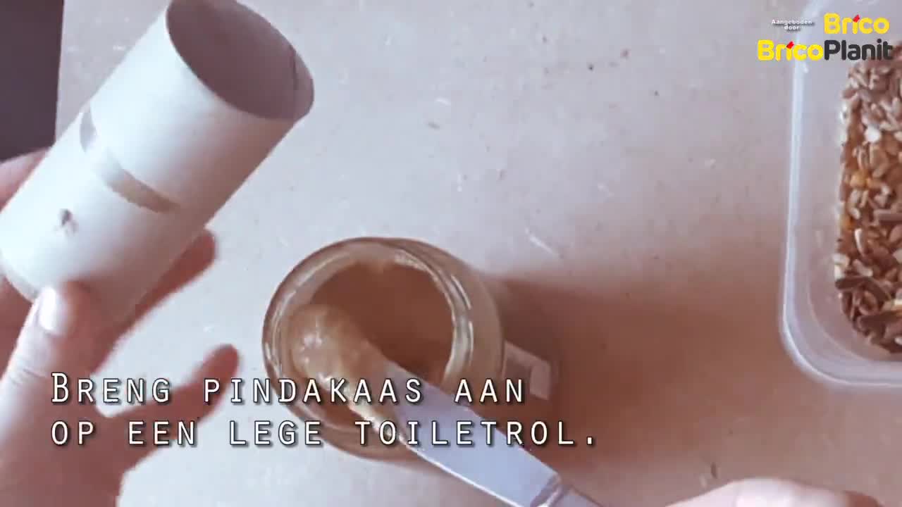 TIP VAN DE WEEK: HELP VOGELS DE WINTER DOOR