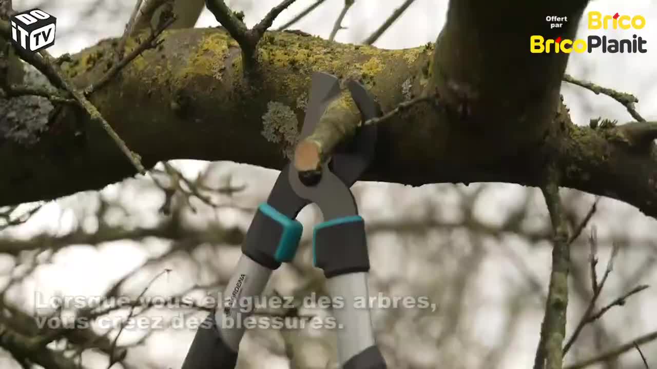 Comment soigner les plaies de taille?