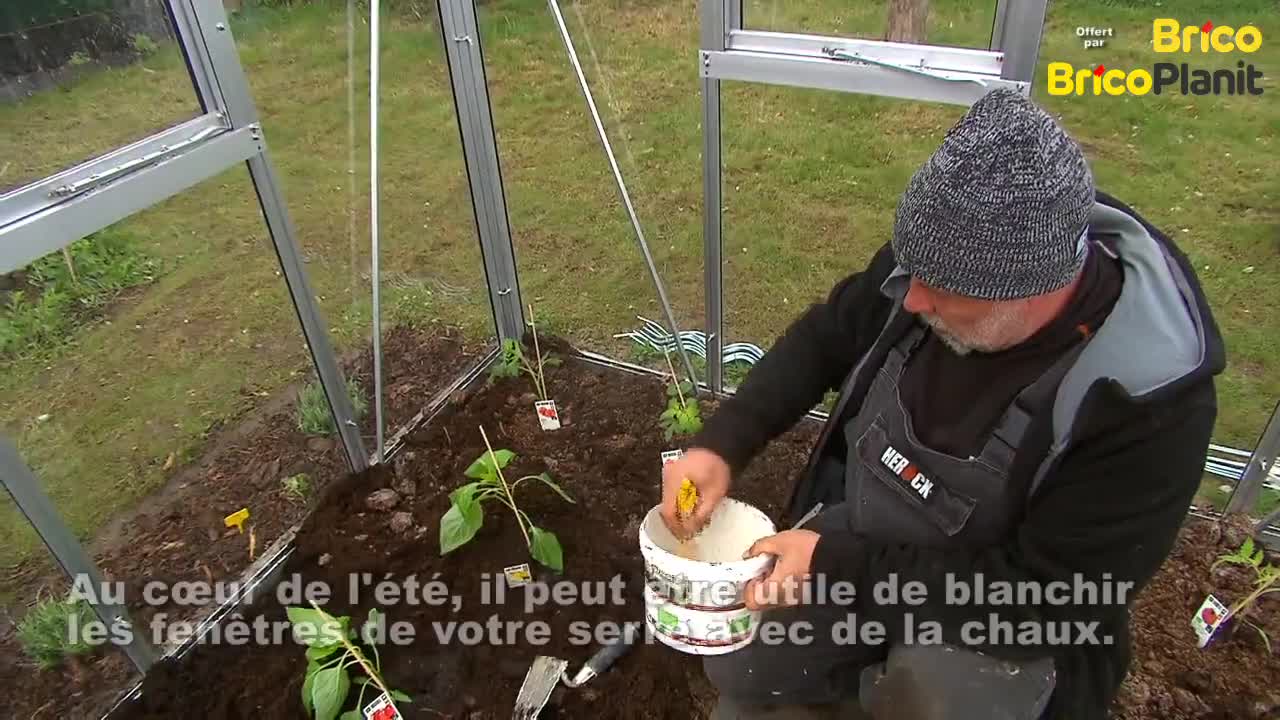 Pourquoi chauler les fenêtres de votre serre?