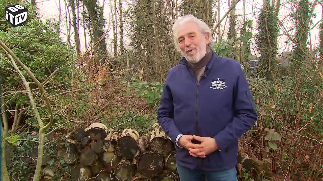 HOE ZELF PADDENSTOELEN KWEKEN