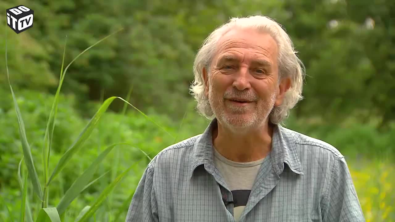 Wilde bloemenpracht in je tuin