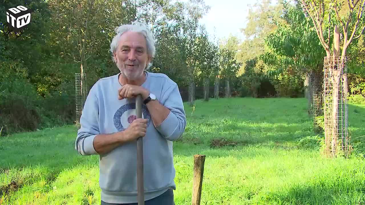 Aidez les plantes et animaux dans votre jardin