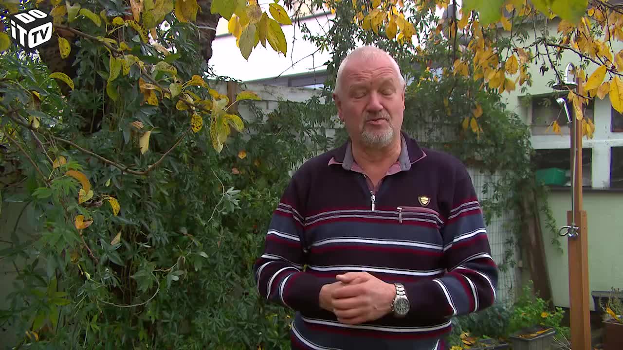 Groenteresten? In de wormenbak!