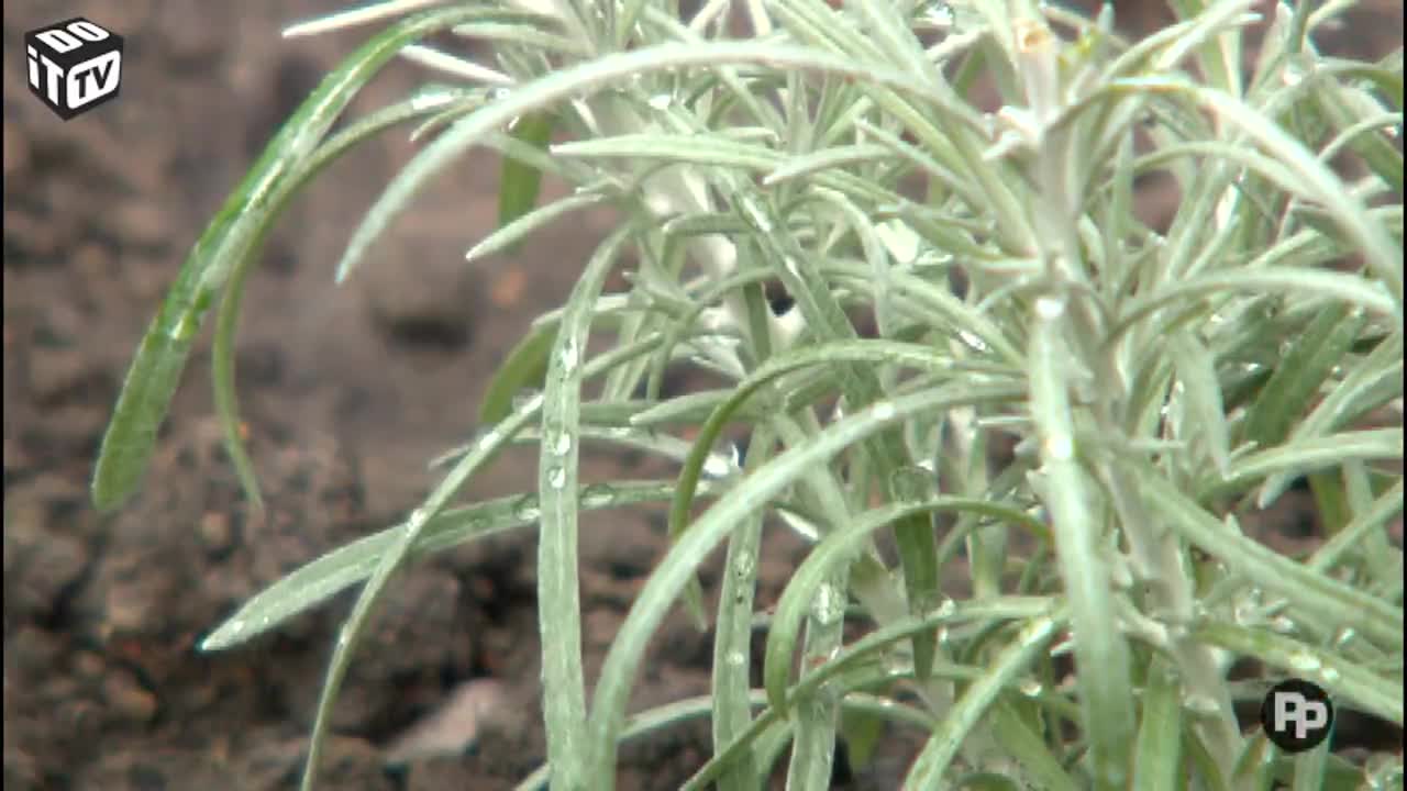 Nooit meer een droge of drassige tuin