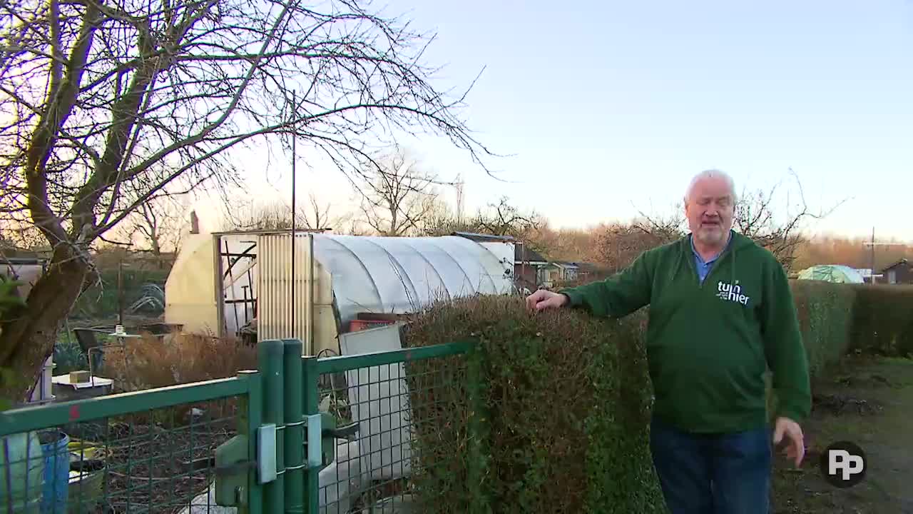 Slim moestuinieren: wat is hügelkultur?