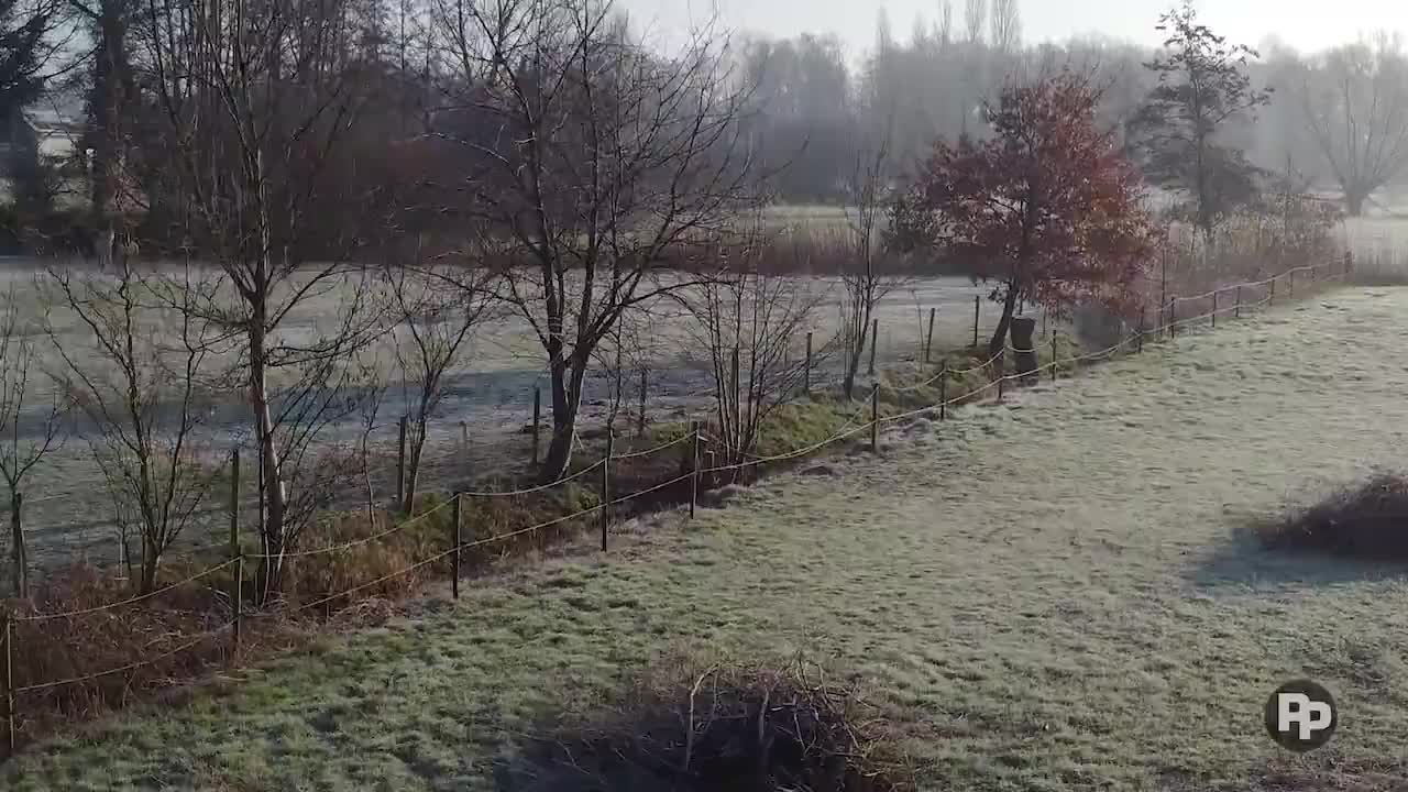 Zet je tuin op orde na een grillige winter