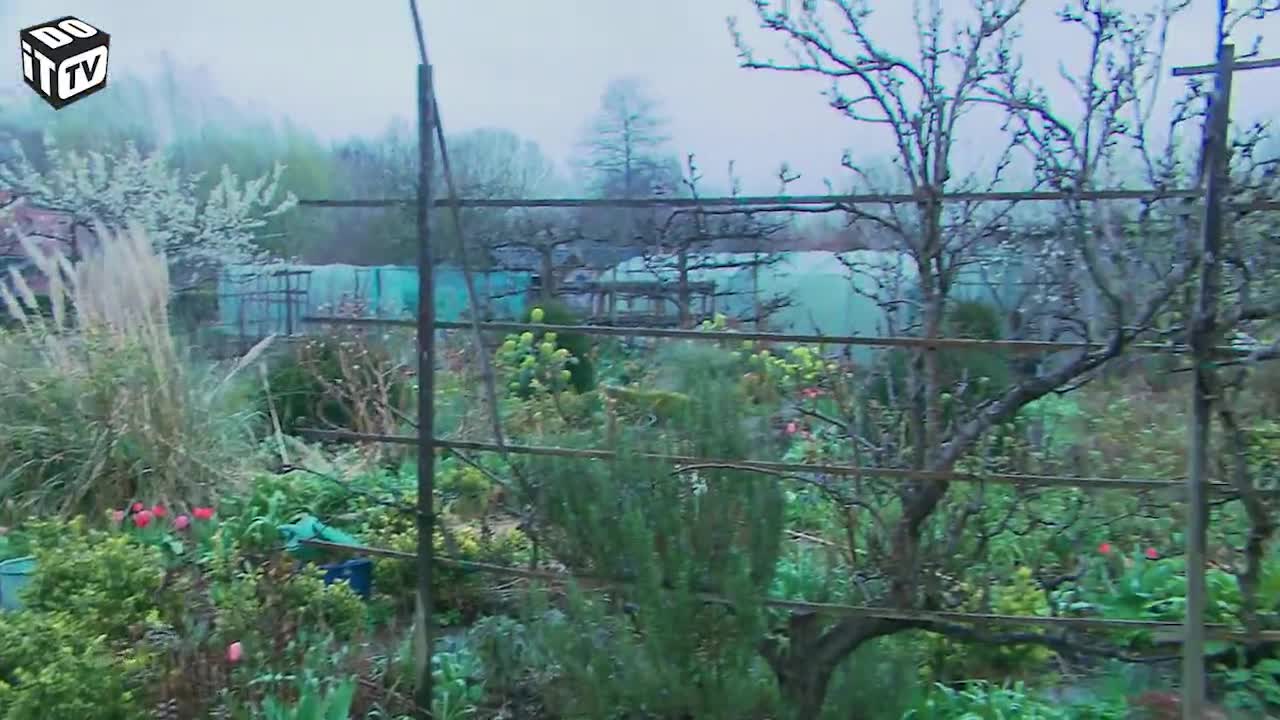 Natuurbeheer in eigen tuin: hoe pak je het aan?