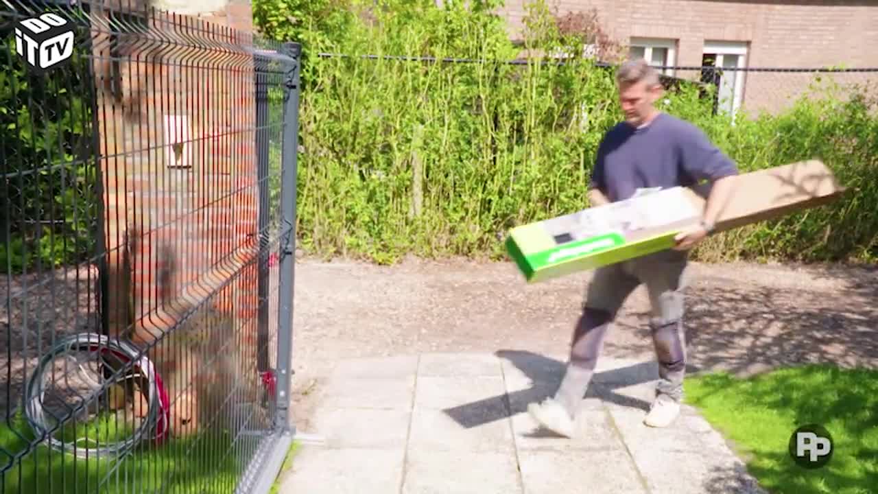 Makkelijk zorgen voor privacy in je tuin