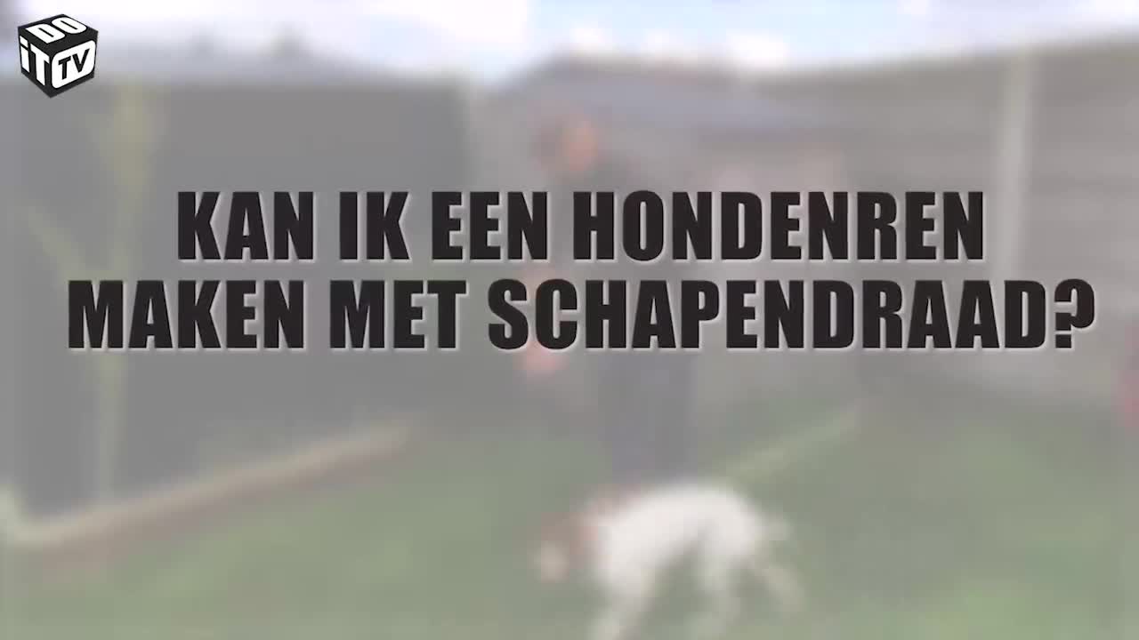 Zo maak je zelf een hondenren
