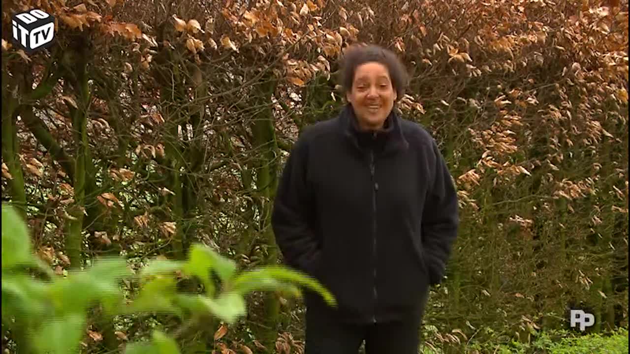 Poser votre propre serre (partie 1)