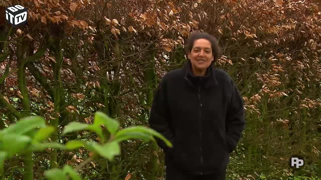 Poser votre propre serre (partie 4)