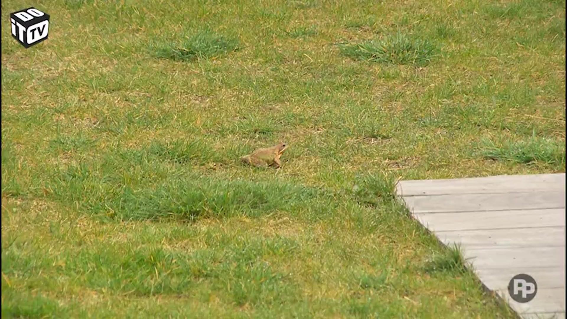 Tips voor om te gaan met water in je tuin