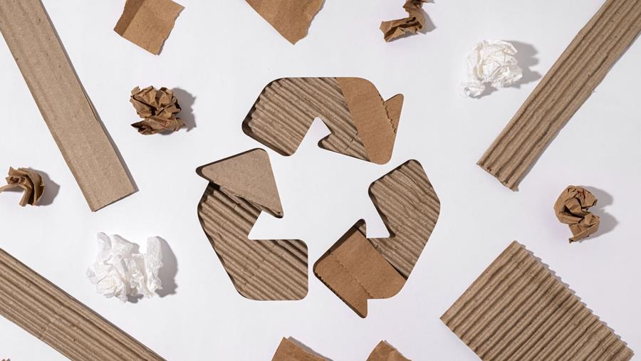 Quel est l’état du secteur du bricolage en matière de durabilité?