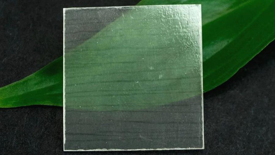 Transparant hout: het bouwmateriaal van de toekomst?