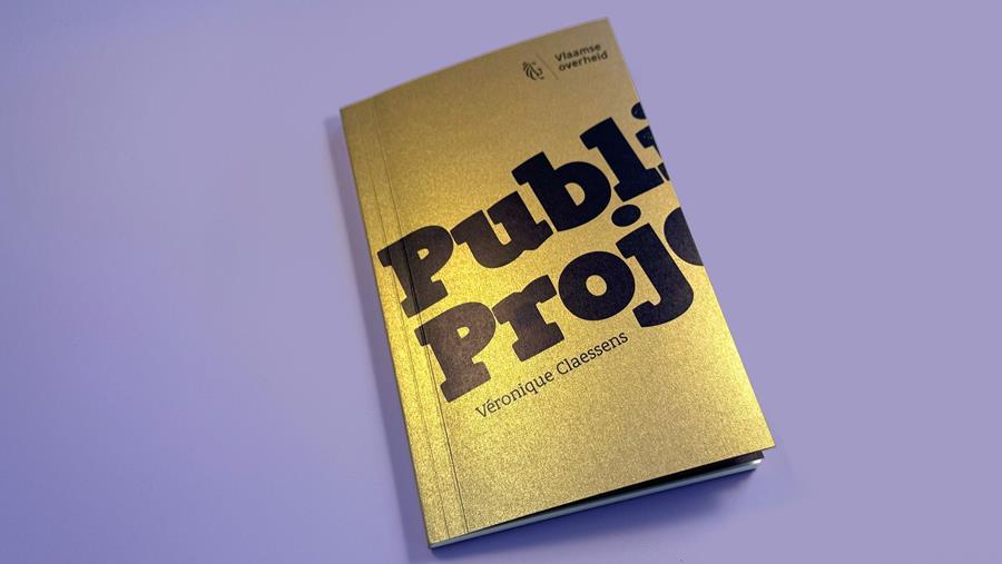 Vlaams Bouwmeester Ambitienota 2026-2030: Publiek Project